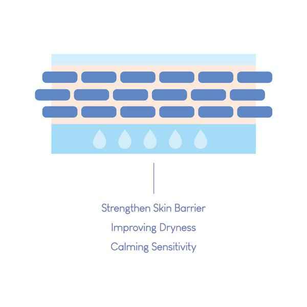 [Purito] Dermide Cica Barrier Sleeping Pack 80ml