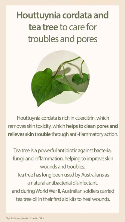 [Mary&May] Houttuynia Cordata + Tea Tree Cleansing Foam - 150ml