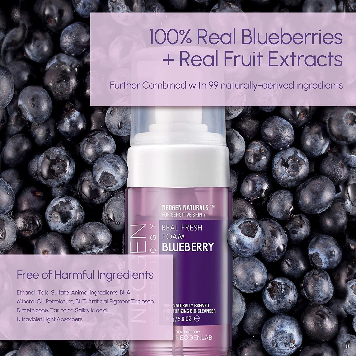 [NeoGen] DERMALOGY REAL FRESH FOAM CLEANSER BLUEBERRY 160G - NURVA