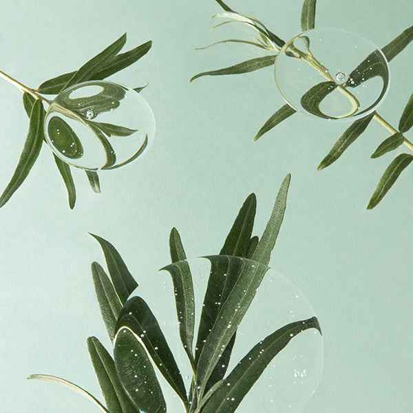 [ImFrom] Vitamin Tree Sheet Mask 22 ml (1ea)